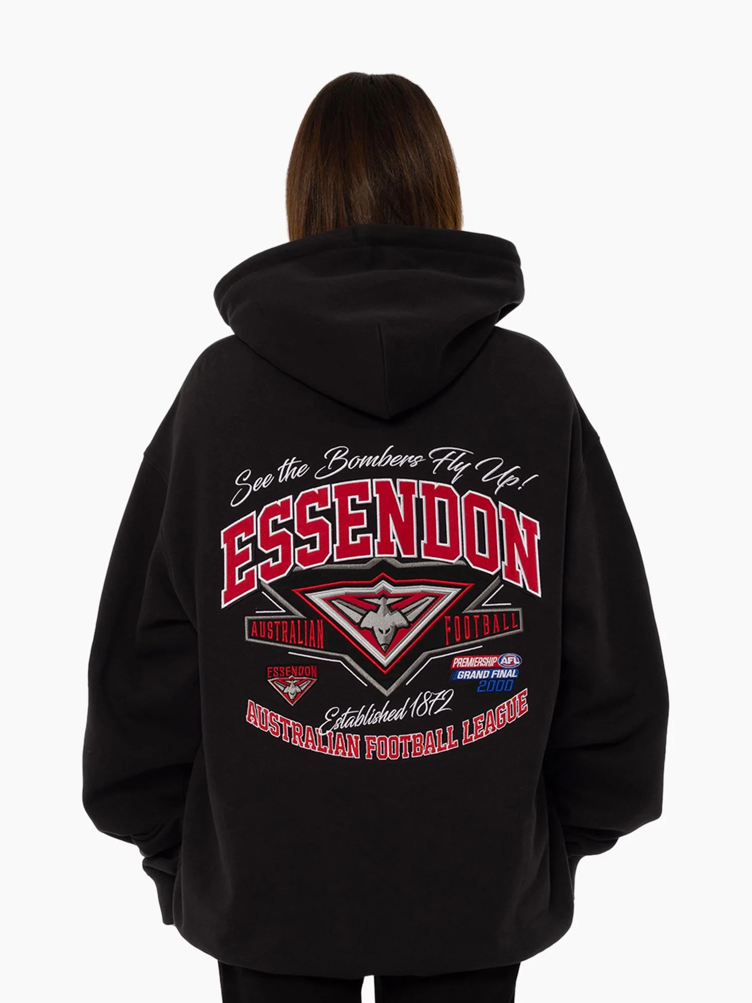 Essendon Bombers 2000 Premiers Hoodie - Image 3