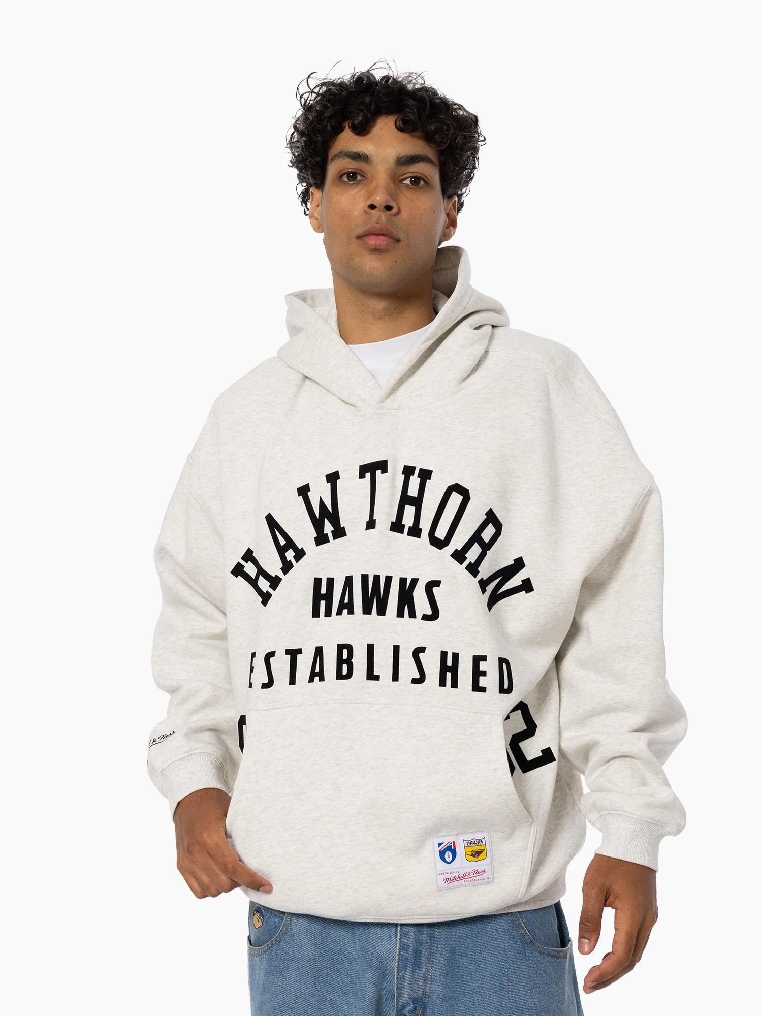 Hawthorn Hawks Established Hoodie - Image 3