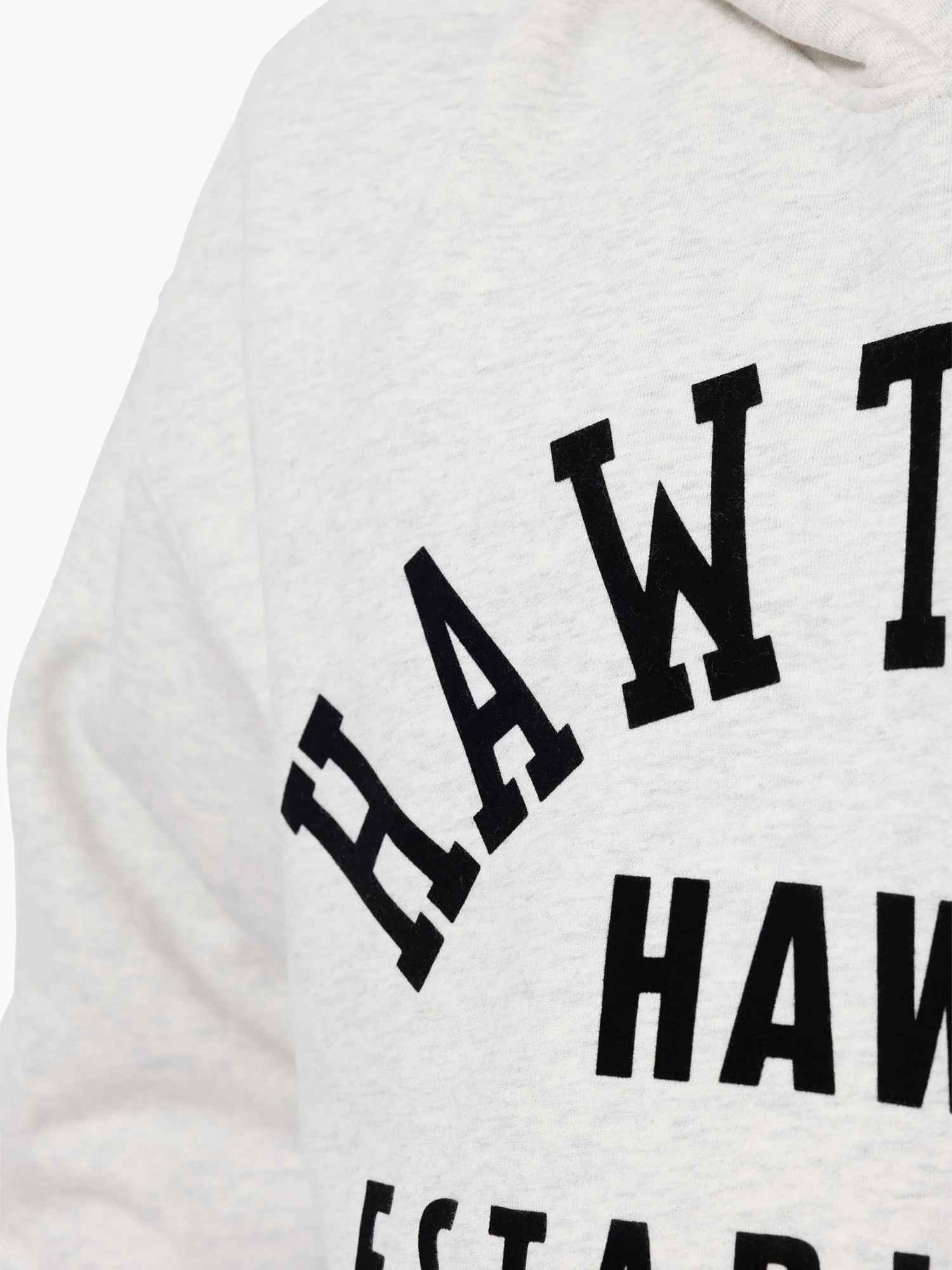 Hawthorn Hawks Established Hoodie - Image 4