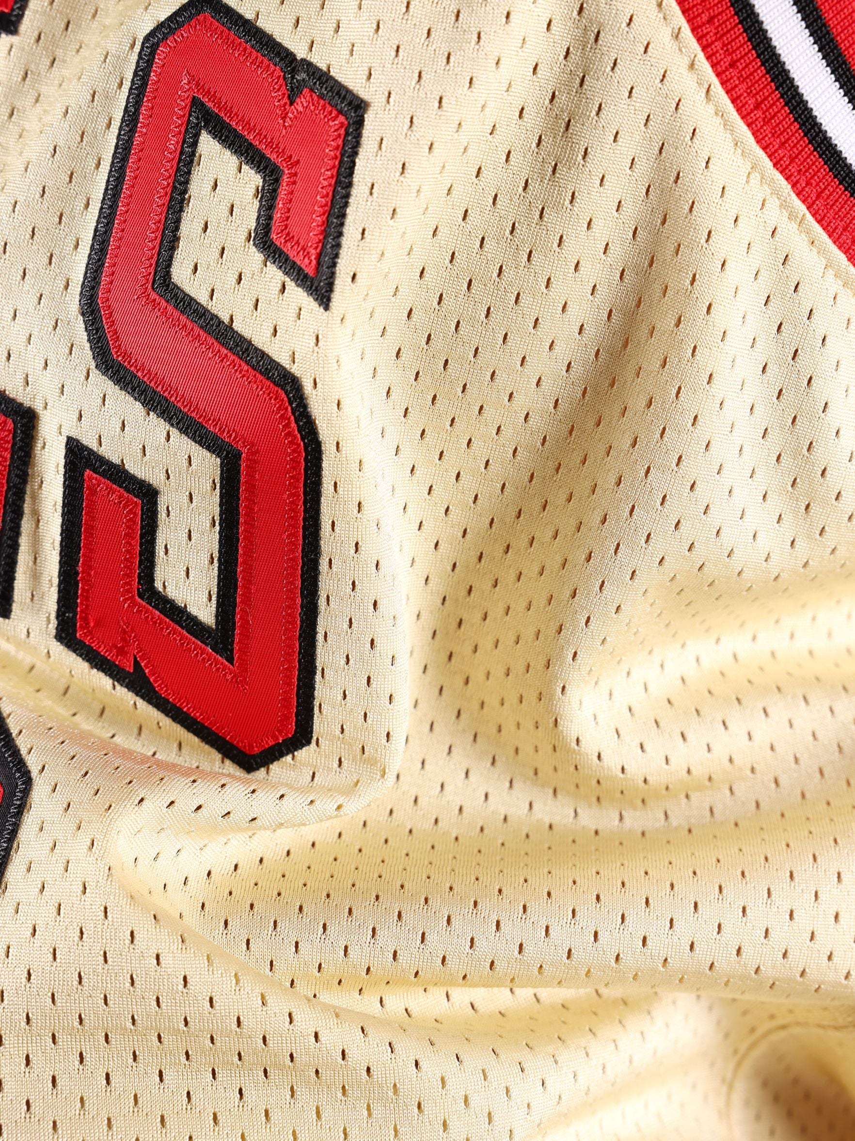Michael Jordan 1995-96 Chicago Bulls Alternate Authentic Jersey - Image 5