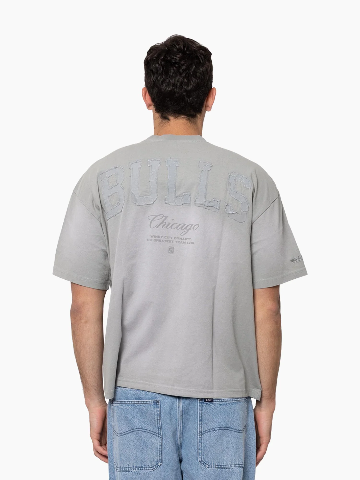 Chicago Bulls Big Oversized Logo Tee - Image 4