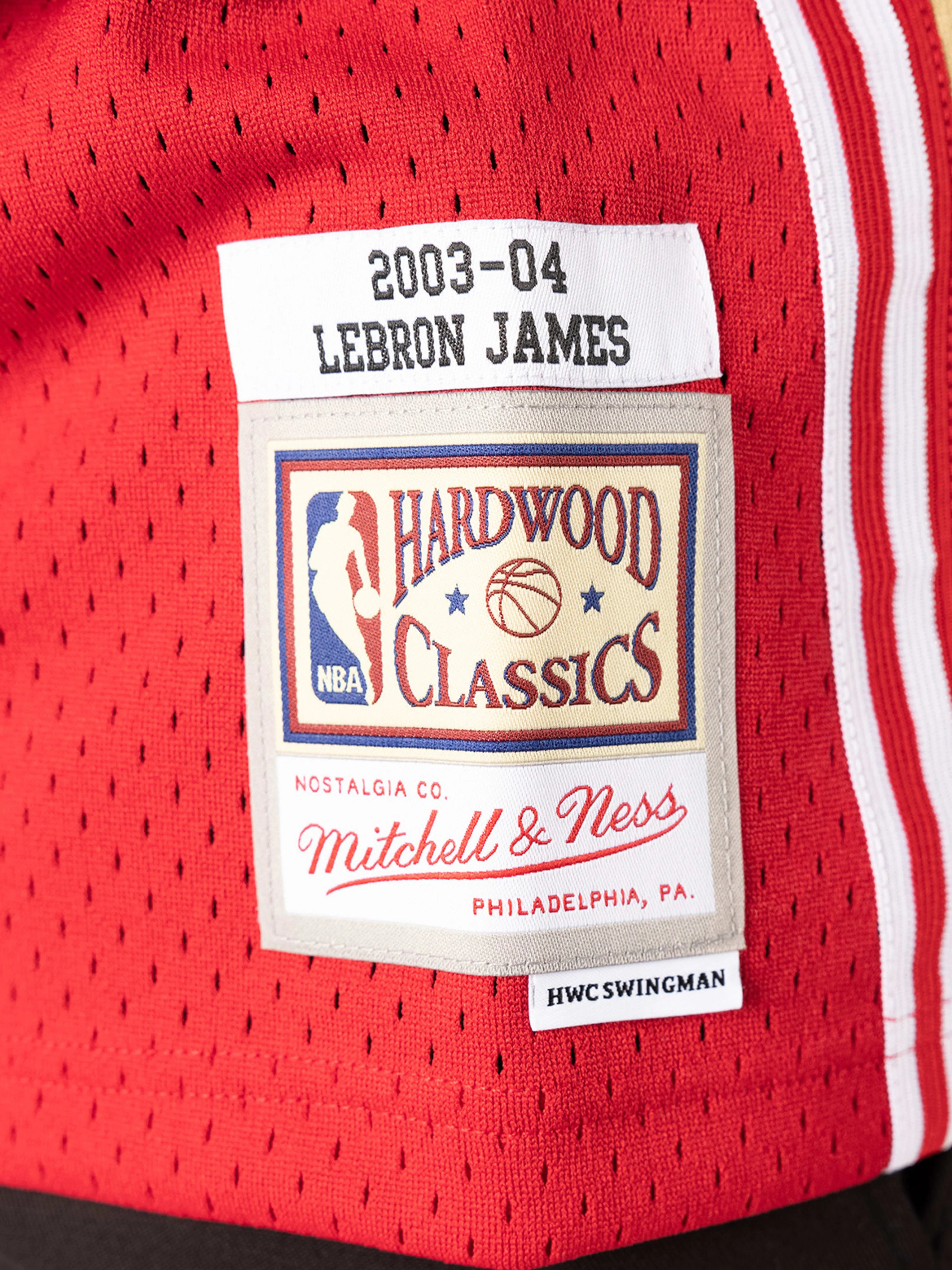 LeBron James 2003-04 Cleveland Cavaliers Home Swingman Jersey - Image 4