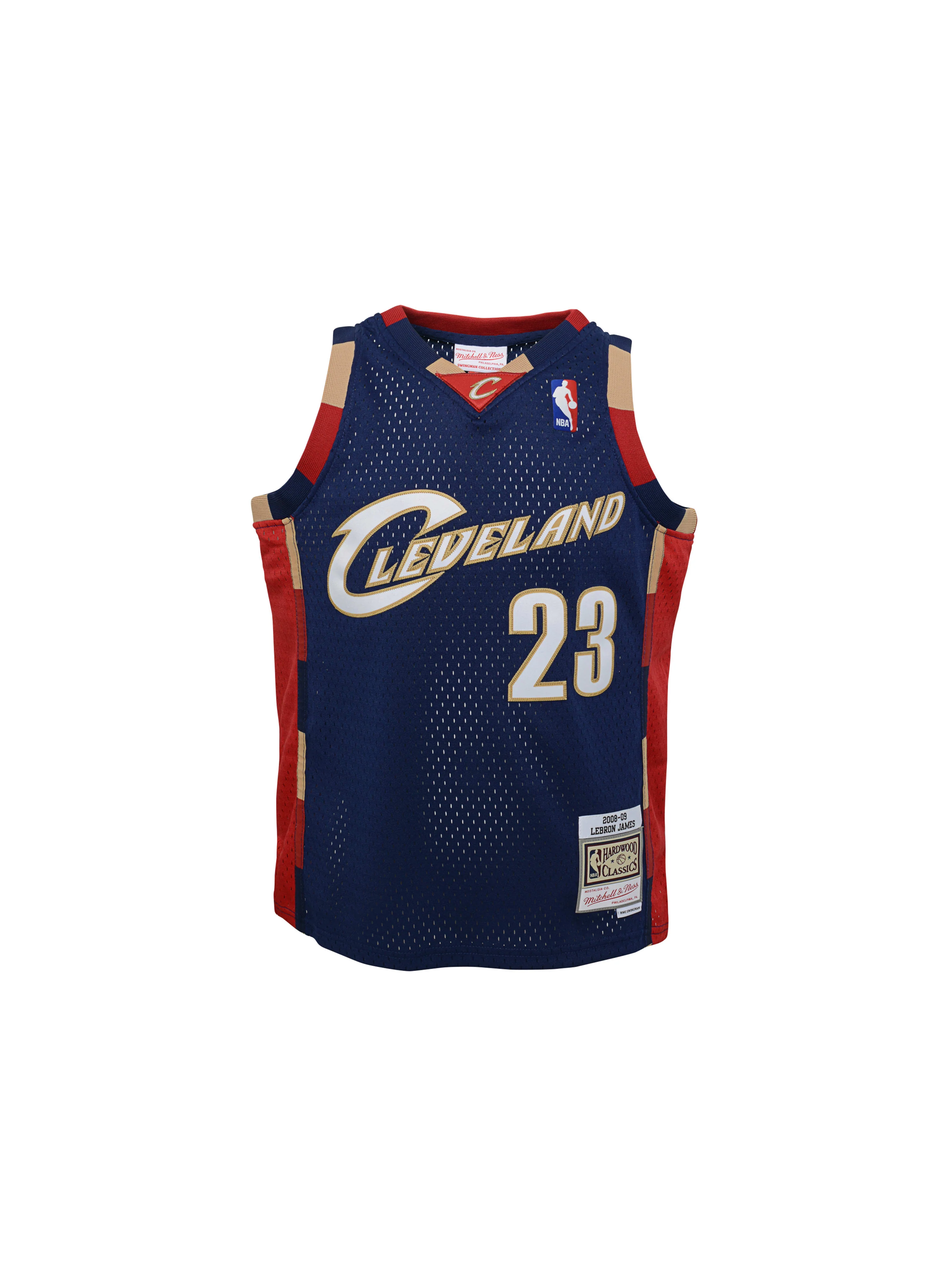 Youth LeBron James 2008-09 Cleveland Cavaliers Alternative Swingman Jersey