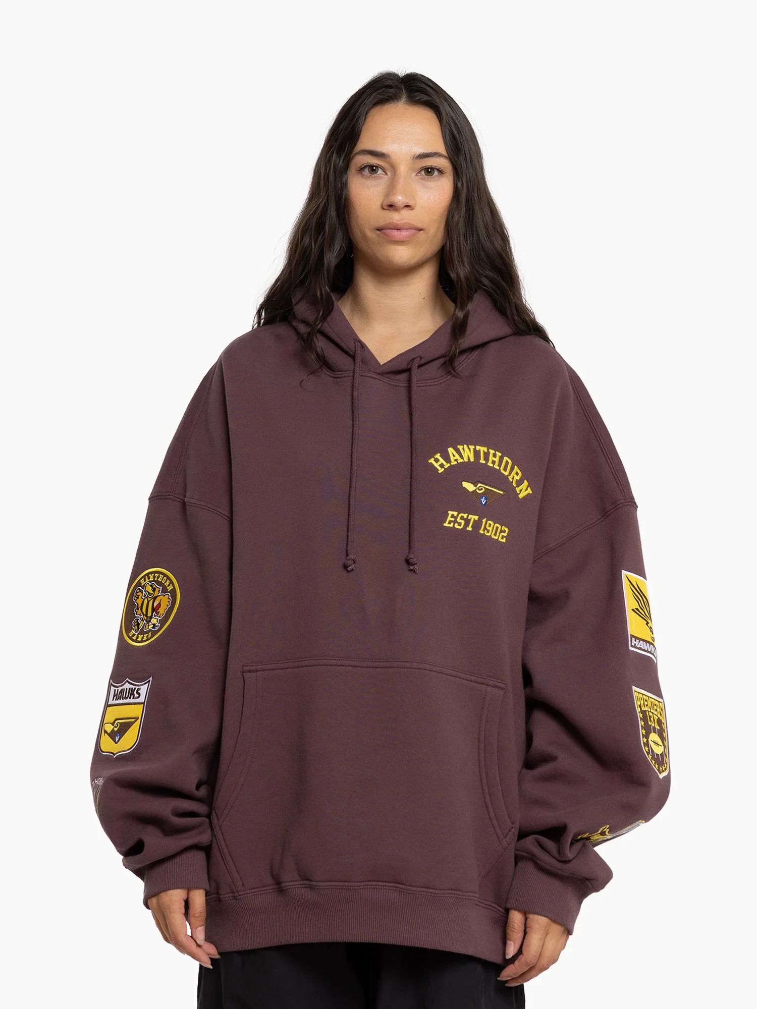 Hawthorn Hawks Logo Patch Hoodie - Image 2
