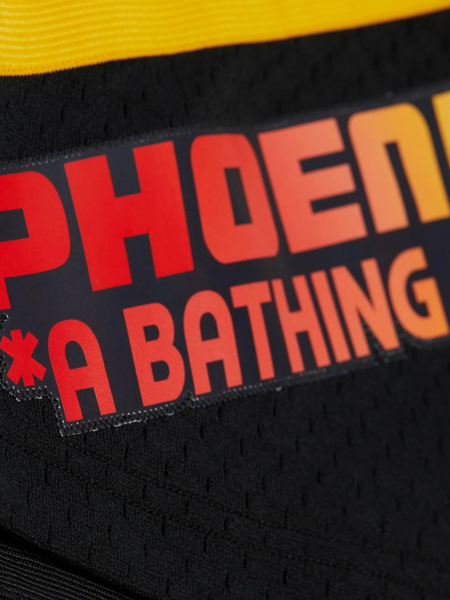 Bape x Mitchell & Ness Phoenix Suns Shorts - Image 3
