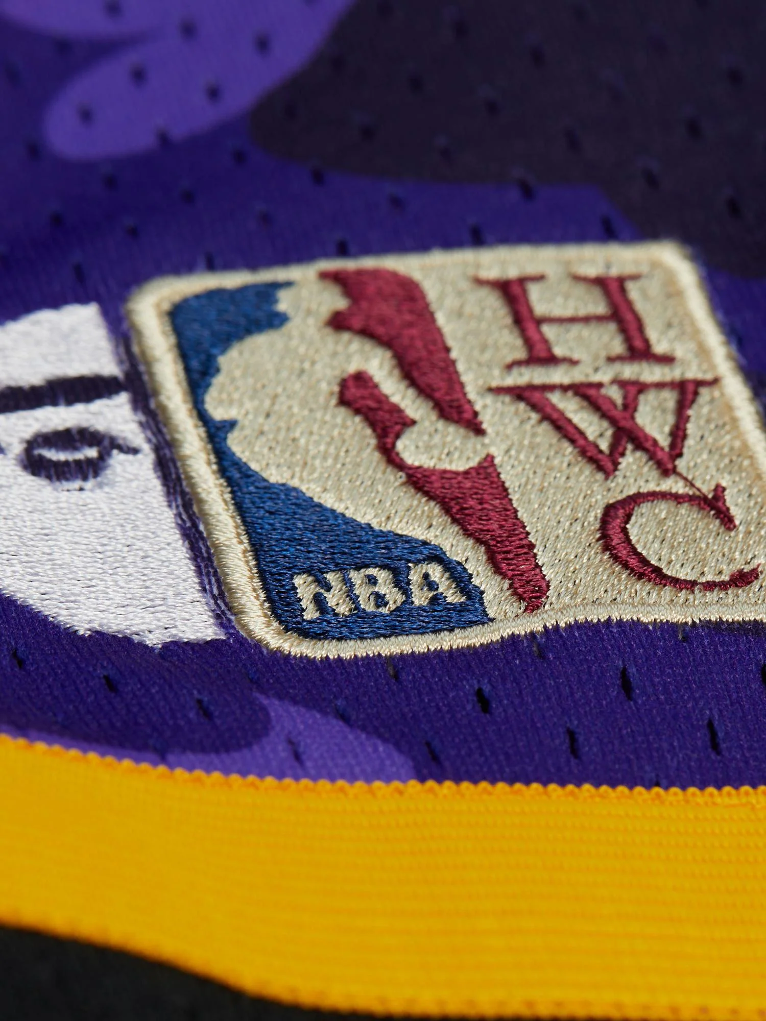 Bape x Mitchell & Ness Phoenix Suns Shorts - Image 4