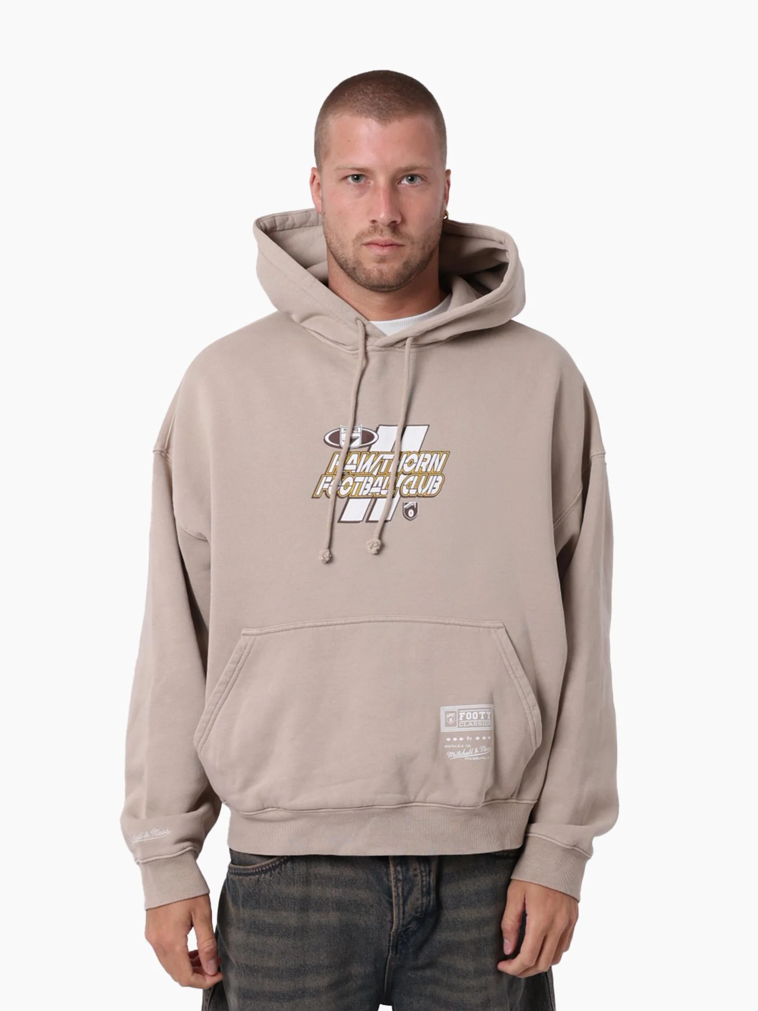 Hawthorn Hawks Panel Box Hoodie - Image 4