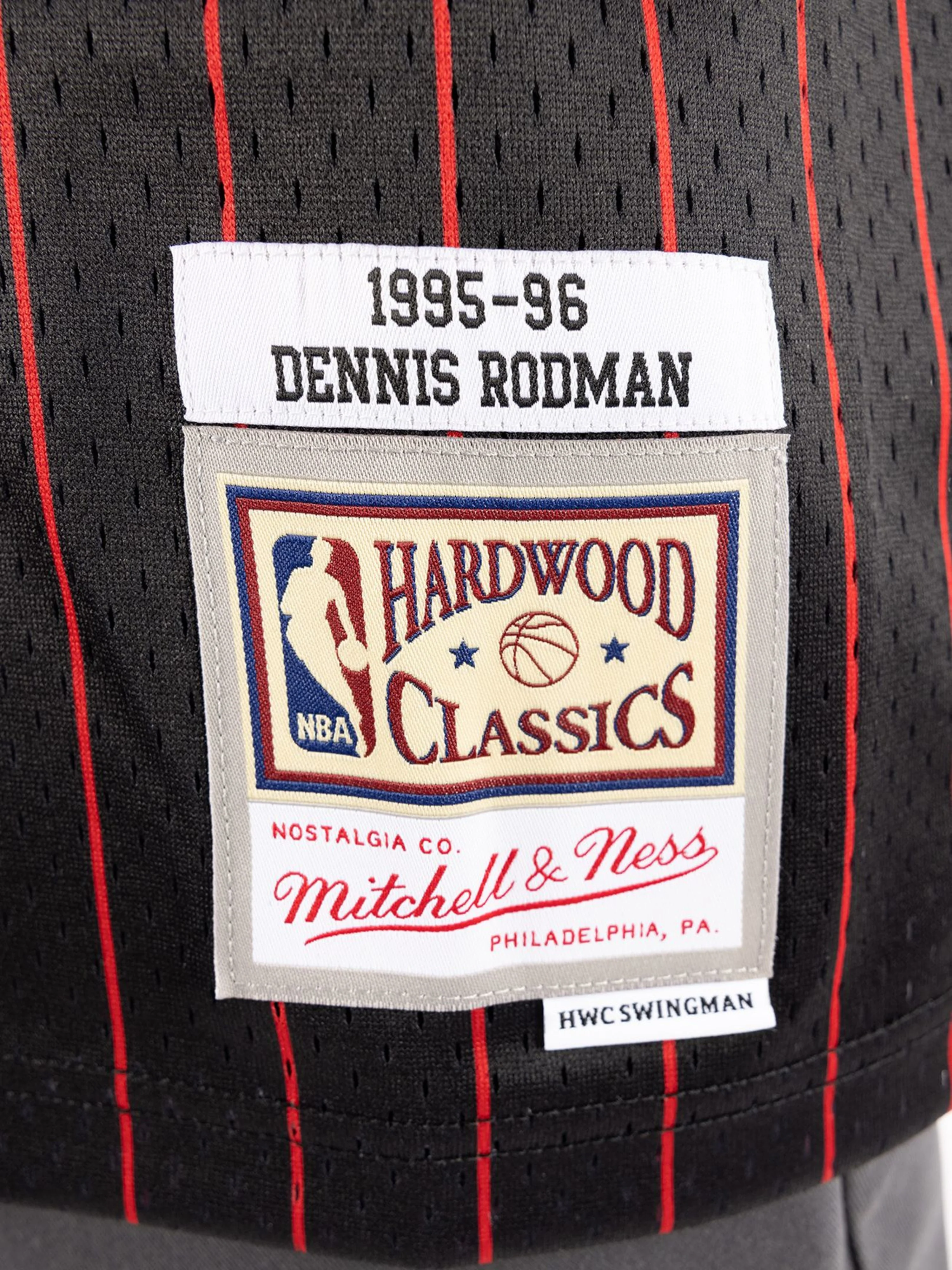 Dennis Rodman 1995-96 Chicago Bulls Alternative Swingman Jersey - Image 4