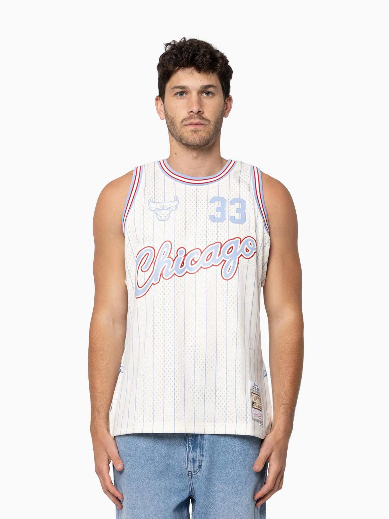 Scottie Pippen 2003-04 Chicago Bulls Tip-Off Swingman Jersey