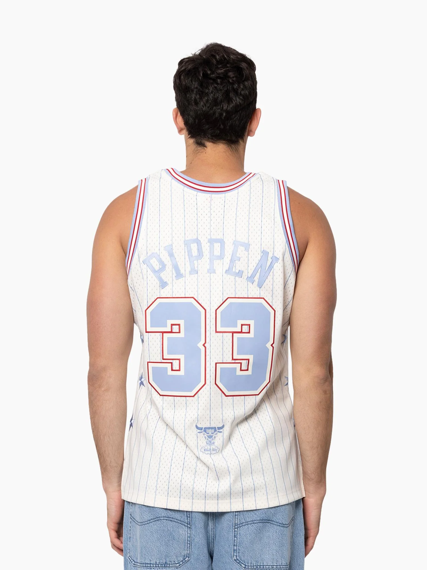 Scottie Pippen 2003-04 Chicago Bulls Tip-Off Swingman Jersey - Image 2